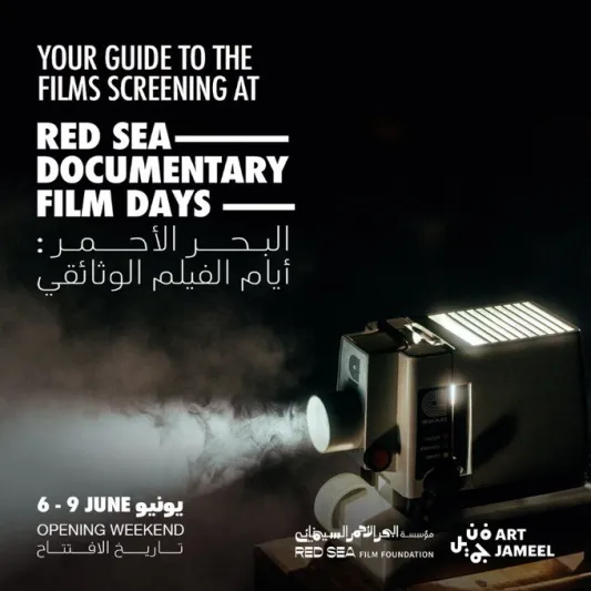 اكتشف القصص الحقيقية.. أبرز أفلام "أيام البحر الأحمر الوثائقية" في دورته الثانية