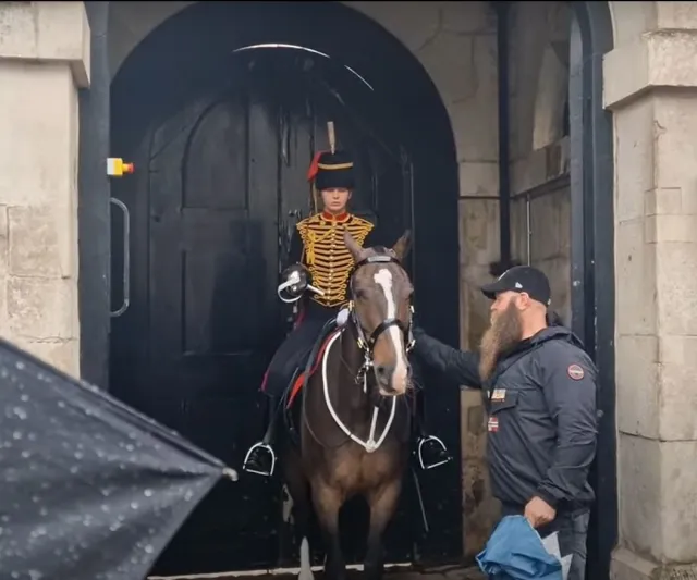 فرد من الحرس الملكي البريطاني ينفجر بالبكاء فوق حصانه بسبب والديه (فيديو)