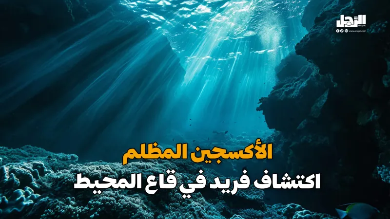 الأكسجين المظلم اكتشاف فريد في قاع المحيط (فيديوجراف)