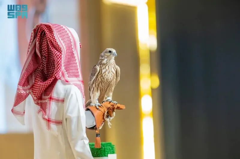 في ختام المزاد الدولي.. بيع صقرين مقابل 241 ألف ريال