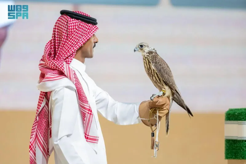 بيع صقرين بـ 170 ألف ريال في أول ليالي المزاد الدولي لمزارع إنتاج الصقور