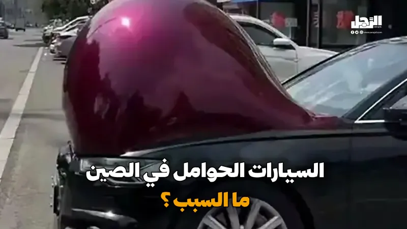 السيارات الحوامل في الصين ما السبب؟ (فيديوجراف)