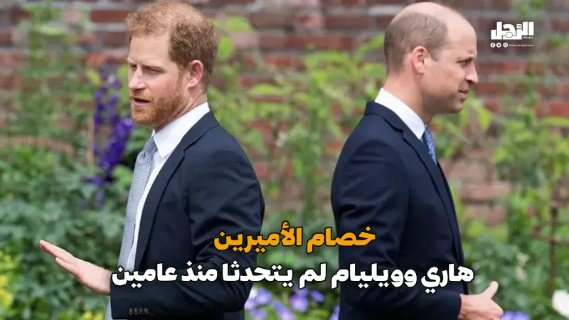 خصام الأميرين هاري وويليام.. لم يتحدثا منذ عامين (فيديوجراف)
