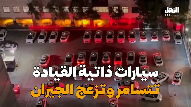 سيارات ذاتية القيادة تتسامر وتزعج الجيران (فيديوجراف)