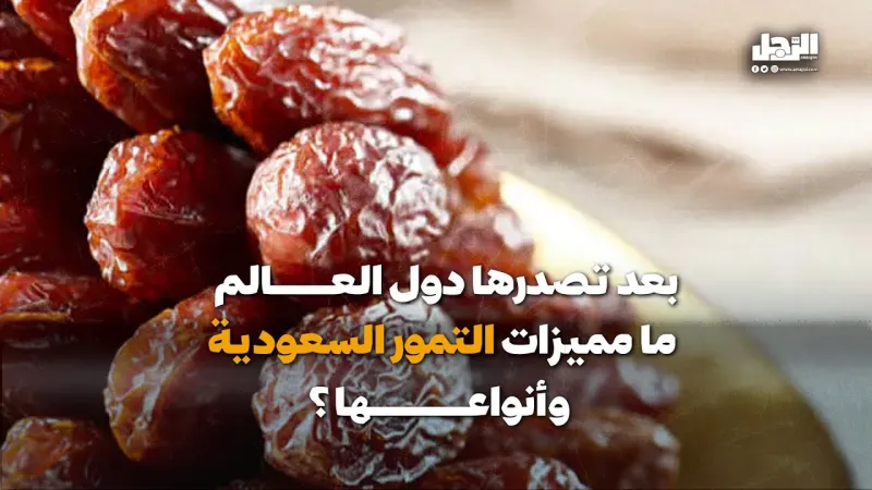 بعد تصدرها  قائمة الأفضل في العالم.. ما مميزات التمور السعودية وأنواعها؟ (فيديوجراف)