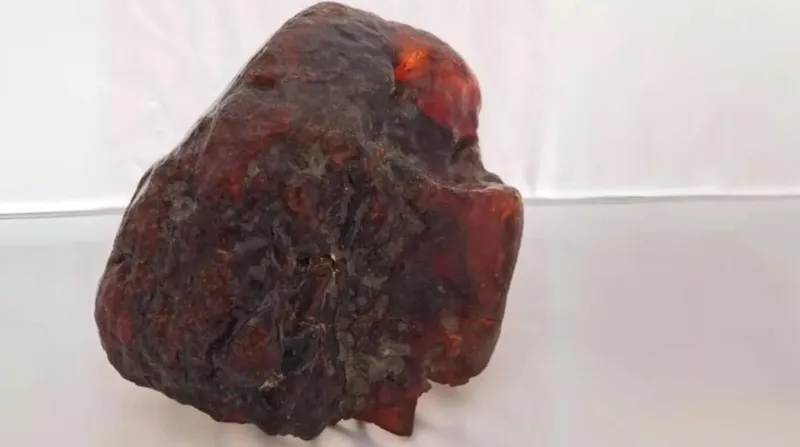 كنز نادر بقيمة مليون يورو يكتشف بعد عقود من الاستخدام كـ"سدادة باب"