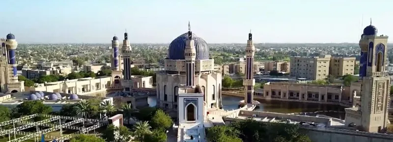 فيديو: ناقة وصغيرها يتجولان داخل حرم أم القرى