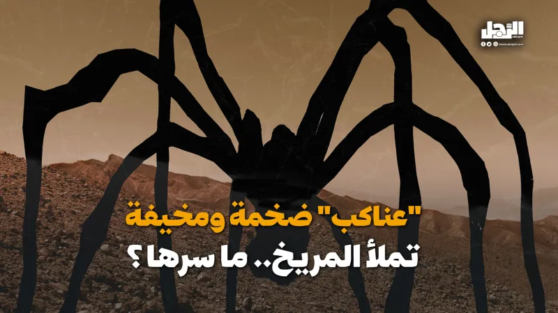 "عناكب" ضخمة ومخيفة تملأ المريخ.. ما سرها؟ (فيديوجراف)