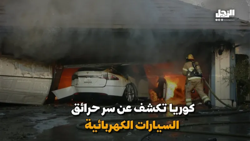 كوريا تتحرك متأثرة بحرائق السيارات الكهربائية (فيديوجراف)