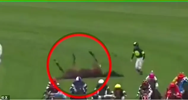  لحظة درامية على مضمار السباق.. فارس يغامر بحياته لإنقاذ حصانه (فيديو)