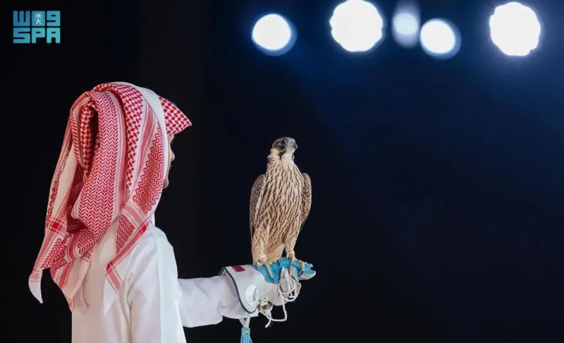 بيع 4 صقور مقابل 485 ألف ريال بمزاد نادي الصقور في ليلته الثامنة