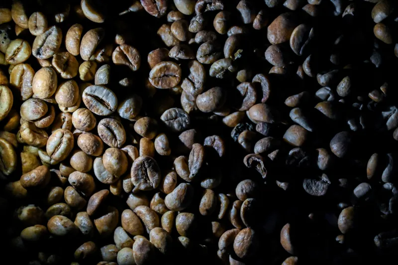 هل تؤثر القهوة بشكل سلبي على خصوبة الرجال؟