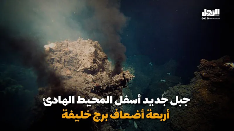 جبل جديد أسفل المحيط الهادئ بارتفاع أربعة أضعاف برج خليفة (فيديوجراف)