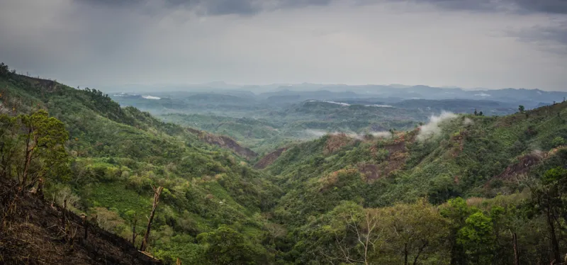 #مطر_يحيي_الارض .. تعرف على دعوات السعوديين لطلب الغيث 