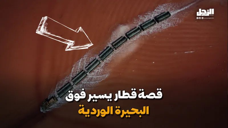 قصة قطار يسير فوق البحيرة الوردية! (فيديوجراف)