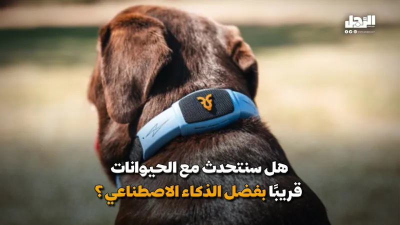 هل سنتحدث مع الحيوانات قريبًا بفضل الذكاء الاصطناعي؟ (فيديوجراف)