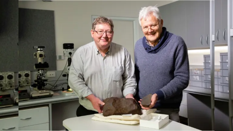 أكثر قيمة من الذهب.. صائد كنوز يكتشف قطعة صخرية فريدة من نوعها