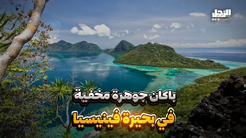 باكان.. جوهرة مخفية في بحيرة فينيسيا (فيديوجراف)