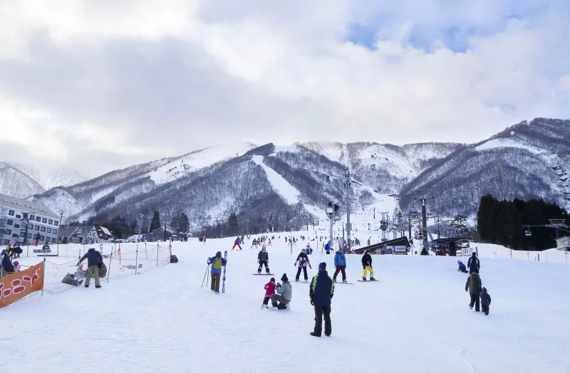  جبال الألب اليابانية.. هنا الدهشة تجري في أنهار الجليد