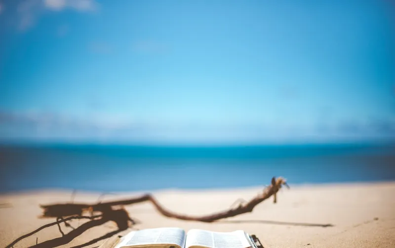 الإبحار عبر القصص.. استمتع بكتب تناسب وجهتك البحرية المفضلة 