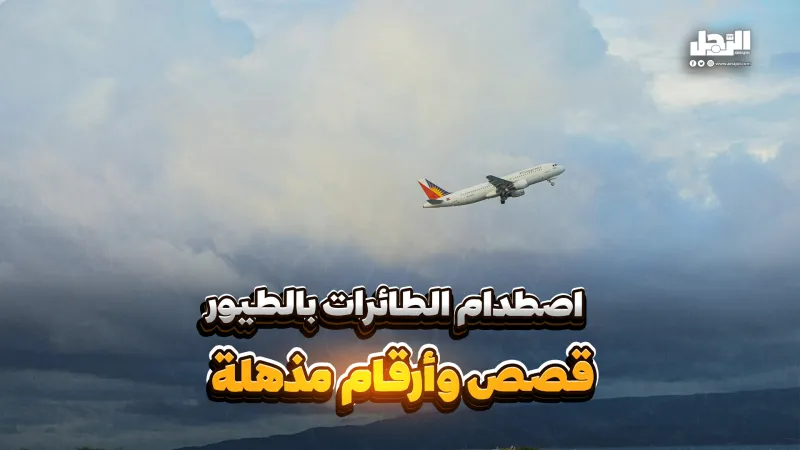 اصطدام الطائرات بالطيور.. قصص وأرقام مذهلة (فيديوجراف)