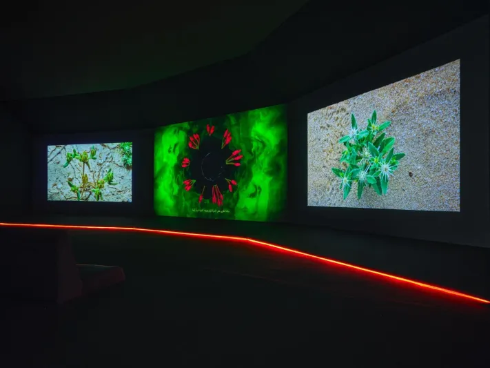 معرض «فنّ المملكة» يحُط رحاله في المتحف السعودي للفن المعاصر في جاكس 