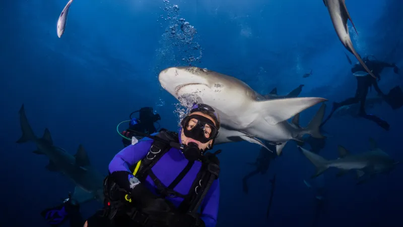 دراسة جديدة تكشف فوائد الغطس في الماء البارد على صحة الخلايا
