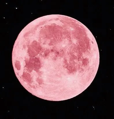 أصغر أقمار 2025.. القمر الوردي يربك مراقبي السماء بلونه