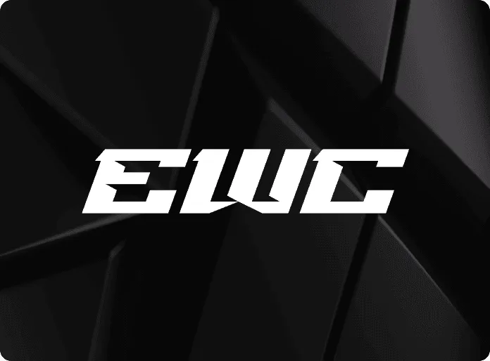 بطولة العالم للألعاب الإلكترونية في الرياض تنطلق يوليو المقبل.. وهذه أسعار التذاكر