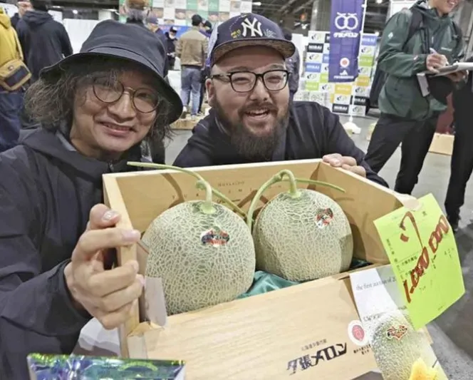 في افتتاح موسم المزادات اليابانية: بيع زوج من شمّام Yubari مقابل 7 آلاف دولار