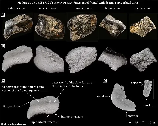 اكتشاف مدينة مدفونة عمرها 140 ألف عام!