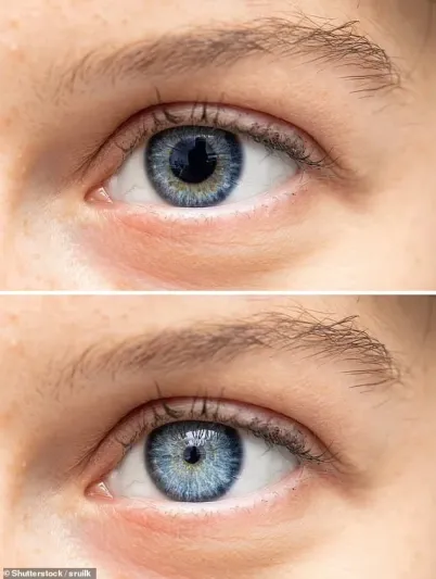 توسع حدقة العين يفضح دقة الذاكرة لدى البشر.. دراسة حديثة