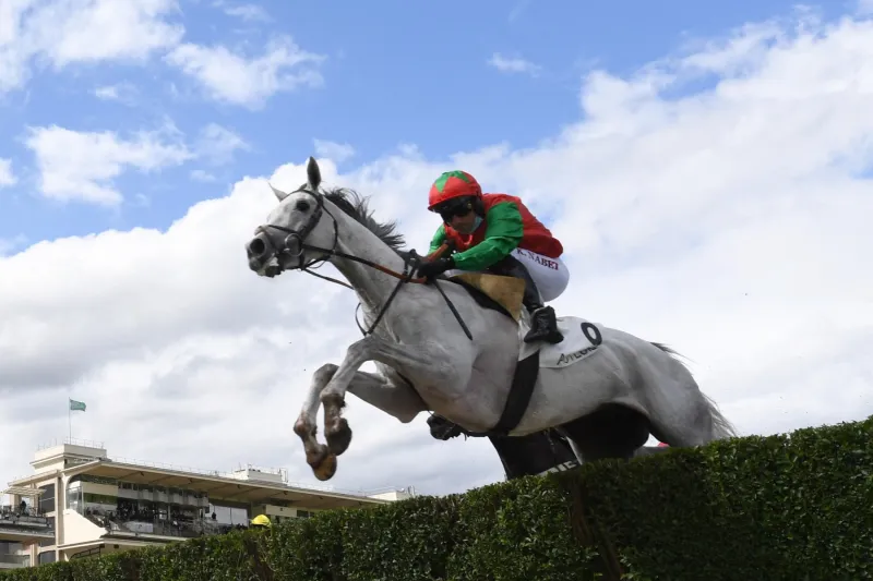 حادثة غير مسبوقة في مضمار Auteuil: فارس يتعلّق بحصانين بعد السقوط (فيديو)