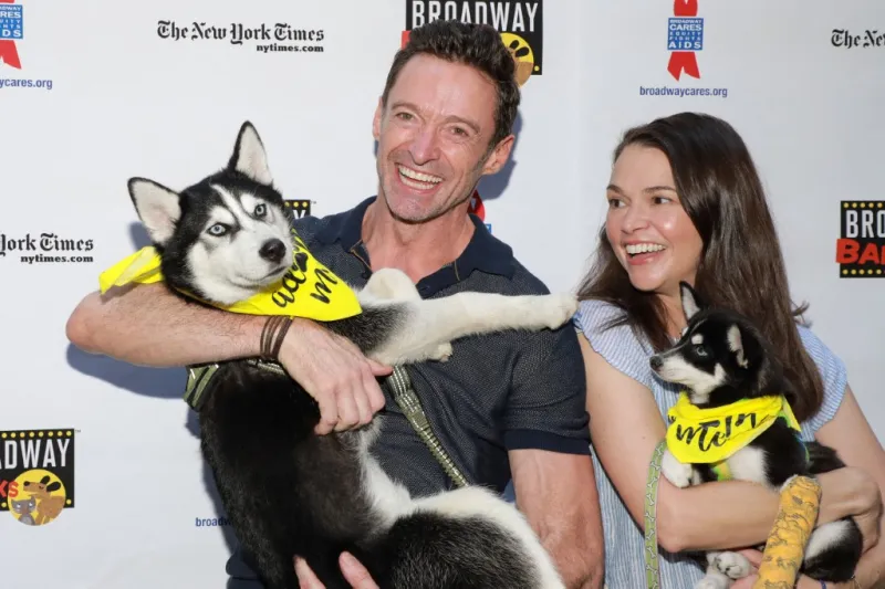  بين التحديات والضغوط المستمرة: هل ستصمد علاقة هيو جاكمان وسوتون فوستر؟