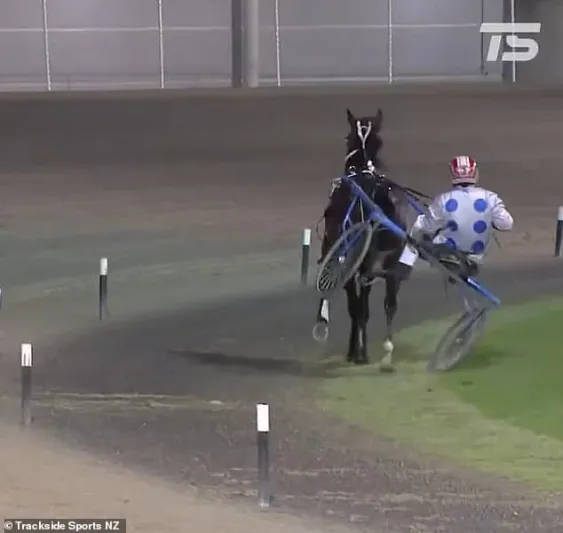 فارسة تُخاطر بحياتها لإنقاذ حصانها الهائج من كارثة وشيكة (فيديو)