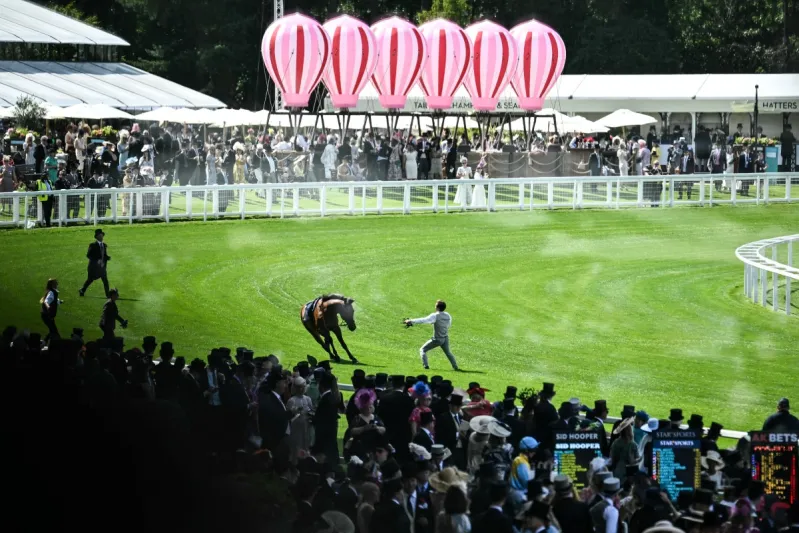 المصدر | AFP لحظة صادمة.. المهرة Harry’s Girl تفارق الحياة في سباق Royal Ascot