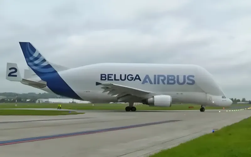 Airbus Beluga.. الحوت الطائر الذي يبتلع طائرات كاملة (فيديو) 
