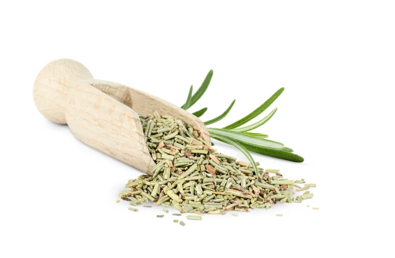 ما الذي يحدث للجسم عند استنشاق زيت إكليل الجبل؟ دراسة حديثة تجيب