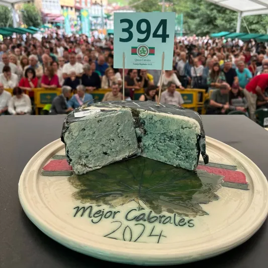 أغلى جبنة في العالم تُباع بمزاد علني مقابل 36 ألف يورو.. صور