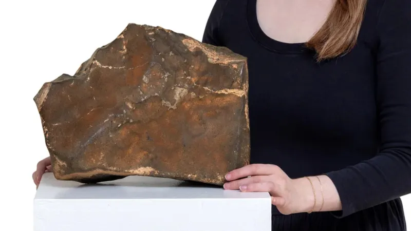 المصدر | Sotheby’s حجر من المريخ يُباع بسعر خيالي ويحطم رقمًا عالميًا