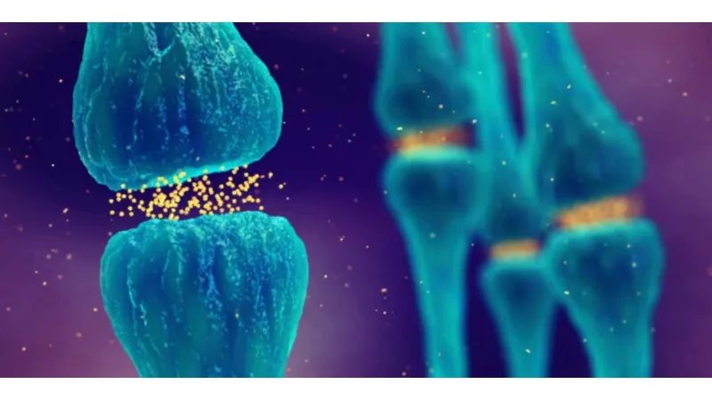 دراسة جديدة تعيد رسم خريطة الدوبامين في الدماغ