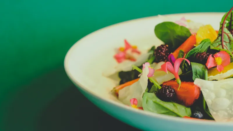 ثورة نباتية تقتحم دليل ميشلان: 5 مطاعم كسرت القواعد وكتبت تاريخًا جديدًا في عالم الطهي