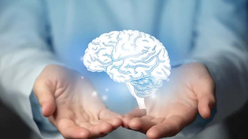 المصدر: Shutterstock دراسة: دماغ الإنسان لا يتوقف عن النمو