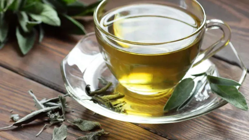 شرب الشاي الأخضر قبل النوم: ما الذي يفعله بجسمك.. هل هو صديق صحتك أم عدوها؟