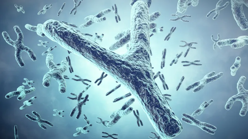 دراسة تكشف العلاقة بين فقدان الكروموسوم Y وأمراض القلب 