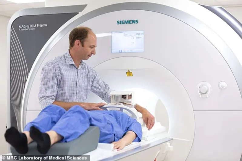 دراسة: الدهون الحشوية تعجل شيخوخة القلب