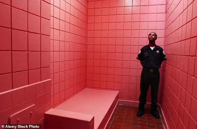 ما هو اللون الذي يعتبره العلماء الأكثر هدوءًا في العالم؟ (فيديو)