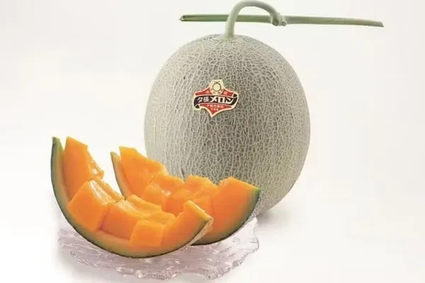 لماذا يصل بطيخ يوباري كينغ إلى 6200 دولار؟