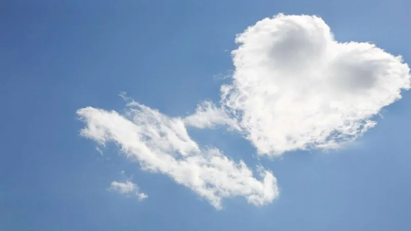 الأحلام الجنسية تكشف خبايا شخصيتك.. دراسة جديدة تكشف التفاصيل