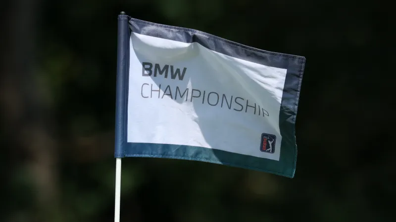 بمساعدة "حشرة".. لاعب غولف يحصد 1.45 مليون دولار (فيديو)